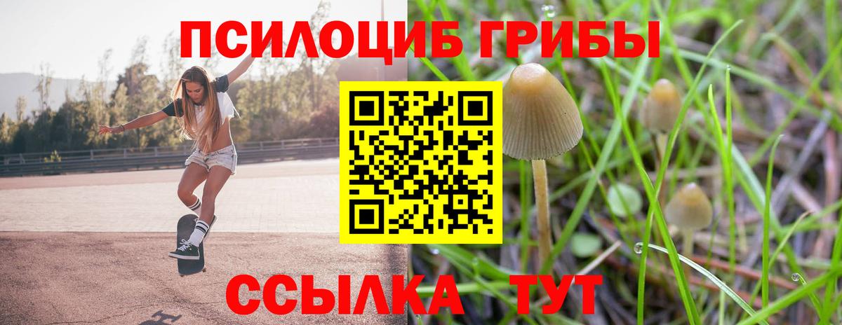 купить наркотик  Вход с VPN  Галлюциногенные грибы Cubensis  Клин  Псилоцибиновые грибы Psilocybe 